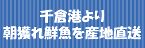 千倉港より朝獲れ鮮魚を産地直送